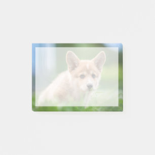 Post-it® Animaux de bébés cutest Corgi Puppy dans le tria
