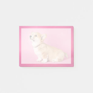 Post-it® Animaux de bébés cutest Corgi rose Chiot