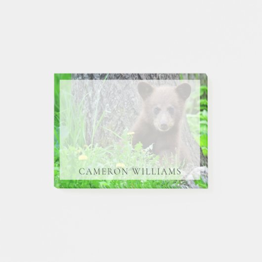 Post-it® Animaux de bébés cutest | Cube d'ours Brown (Devant)