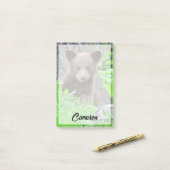 Post-it® Animaux de bébés cutest | Cube d'ours Brown (Sur un bureau)