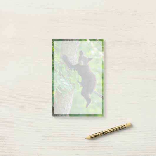 Post-it® Animaux de bébés cutest | Cube d'ours noir (Sur un bureau)