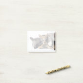 Post-it® Animaux de bébés cutest | Cute Kitten Hug (Sur un bureau)