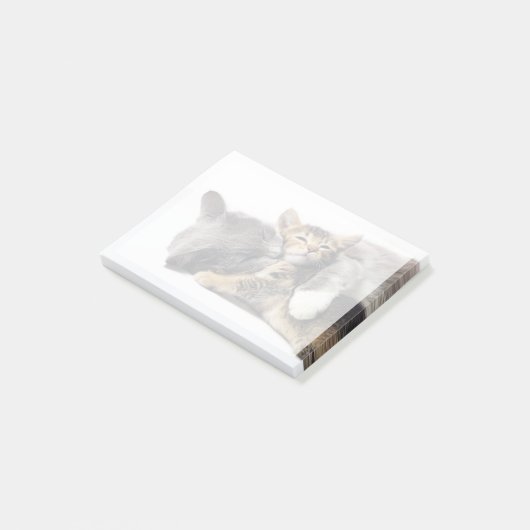 Post-it® Animaux de bébés cutest | Cute Kitten Hug (Incliné)