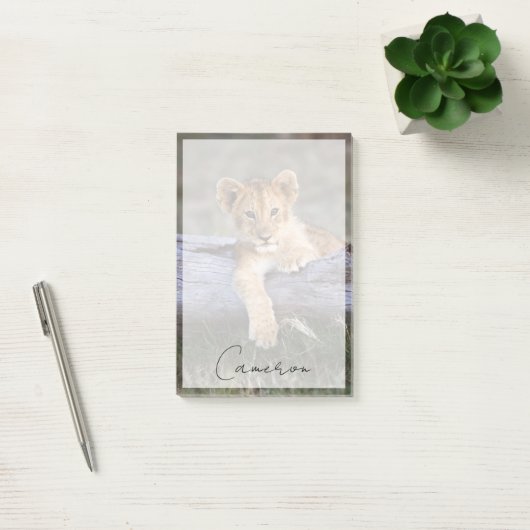 Post-it® Animaux de bébés cutest | Cute Lion Cub (Bureau)