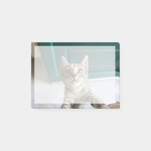 Post-it® Animaux de bébés cutest | Cute Tabby Kitten (Devant)