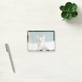 Post-it® Animaux de bébés cutest | Cute Tabby Kitten (Bureau)