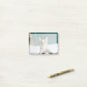 Post-it® Animaux de bébés cutest | Cute Tabby Kitten (Sur un bureau)