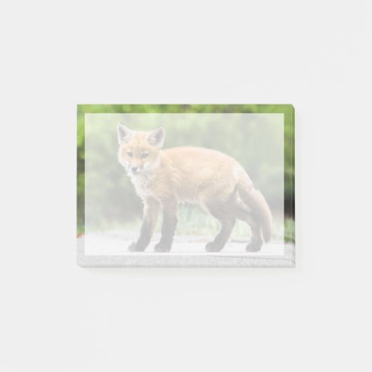 Post-it® Animaux de bébés cutest | Cutey Fox (Devant)