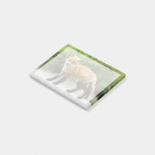 Post-it® Animaux de bébés cutest | Cutey Fox (Incliné)