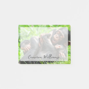Post-it® Animaux de bébés cutest Deux jeunes chimpanzés