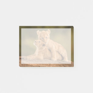 Post-it® Animaux de bébés cutest   Deux Lions Cubs