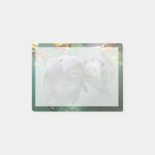 Post-it® Animaux de bébés cutest   Deux Manatees