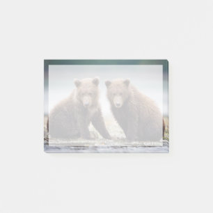 Post-it® Animaux de bébés cutest Deux petits ours d'ours