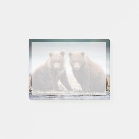 Post-it® Animaux de bébés cutest | Deux petits ours d'ours (Devant)