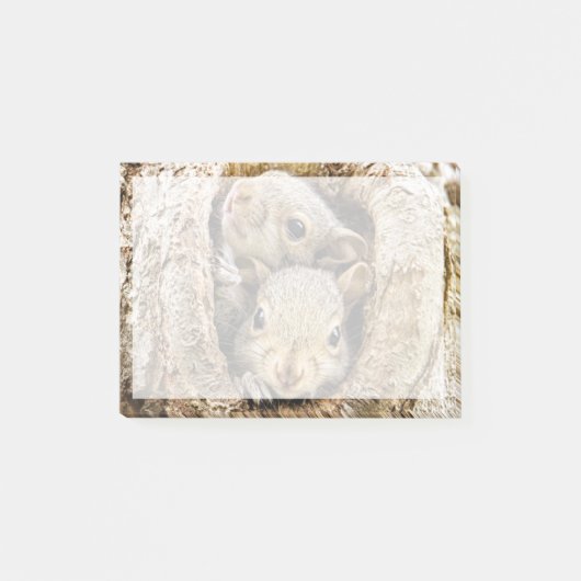 Post-it® Animaux de bébés cutest | Écureuils curieux (Devant)