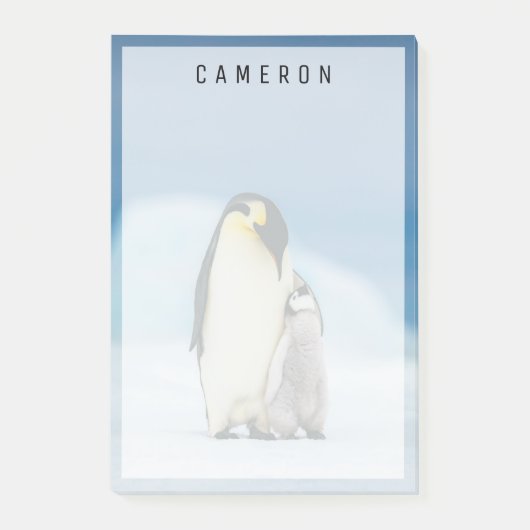 Post-it® Animaux de bébés cutest | Empereur Penguin Chick (Devant)
