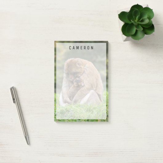 Post-it® Animaux de bébés cutest | Famille Barbary Macaque (Bureau)