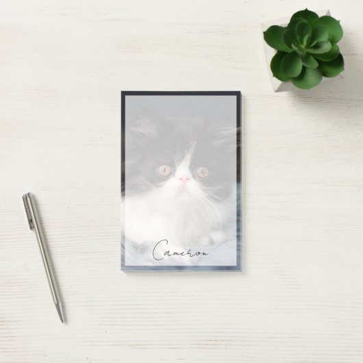 Post-it® Animaux de bébés cutest | Fluffy B&W Kitten (Bureau)