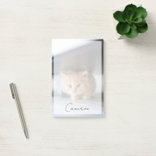 Post-it® Animaux de bébés cutest   Fluffy Orange Kitten