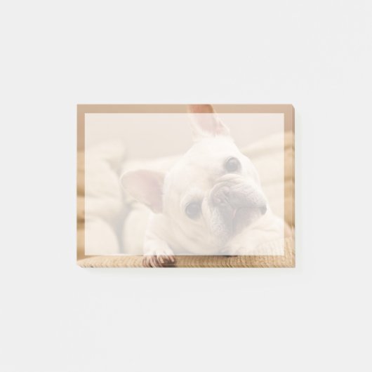 Post-it® Animaux de bébés cutest | French Bulldog Head Tilt (Devant)