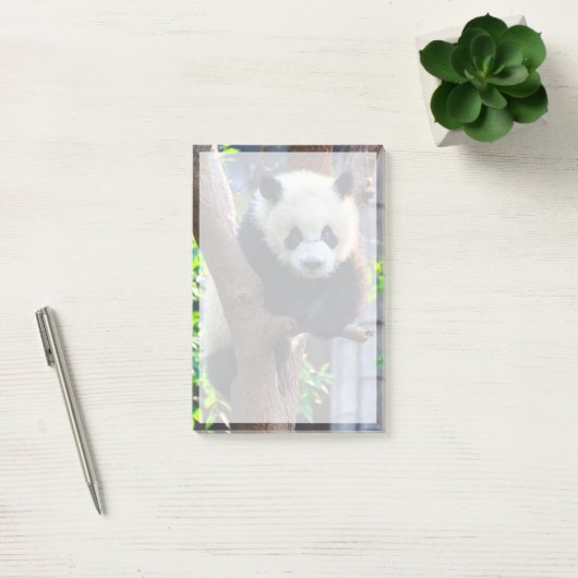 Post-it® Animaux de bébés cutest | Géant Panda Cub (Bureau)