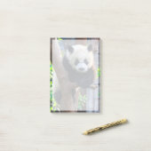 Post-it® Animaux de bébés cutest | Géant Panda Cub (Sur un bureau)