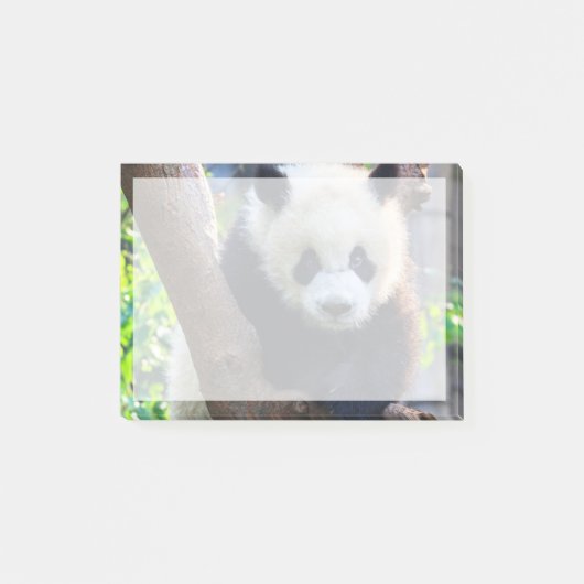 Post-it® Animaux de bébés cutest | Géant Panda Cub (Devant)