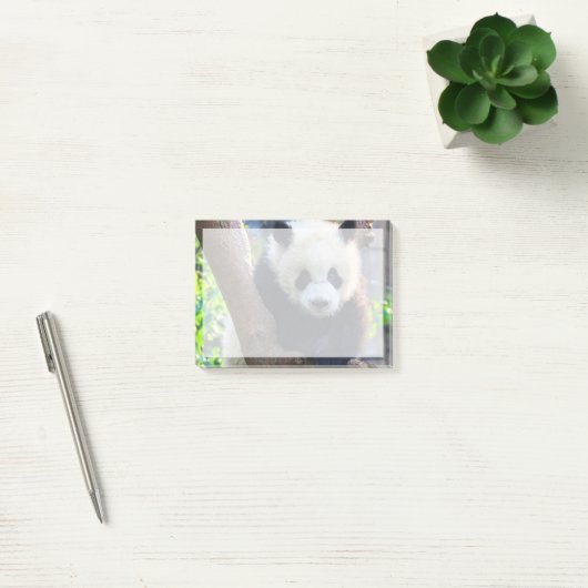 Post-it® Animaux de bébés cutest | Géant Panda Cub (Bureau)