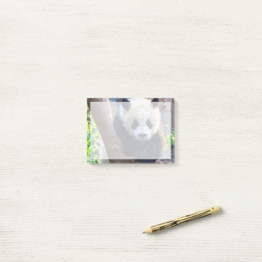 Post-it® Animaux de bébés cutest | Géant Panda Cub (Sur un bureau)
