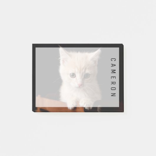 Post-it® Animaux de bébés cutest | Ginger Kitten (Devant)