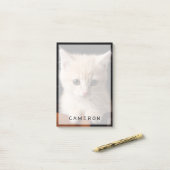 Post-it® Animaux de bébés cutest | Ginger Kitten (Sur un bureau)