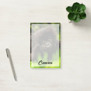 Post-it® Animaux de bébés cutest Gorille des Montagnes In