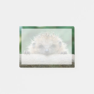 Post-it® Animaux de bébés cutest Hedgehog Smile