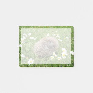 Post-it® Animaux de bébés cutest   Hérisson espagnol