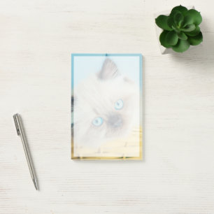 Post-it® Animaux de bébés cutest Himalaya Seal Point Cat