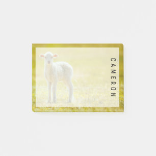 Post-it® Animaux de bébés cutest   Jeune mouton