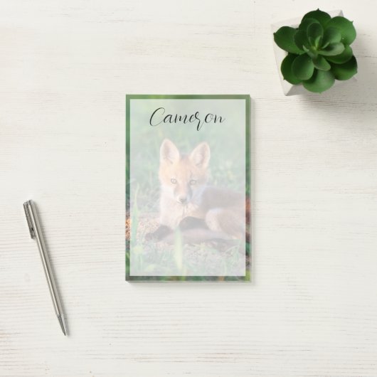 Post-it® Animaux de bébés cutest | Kit Red Fox Relaxant (Bureau)