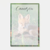 Post-it® Animaux de bébés cutest | Kit Red Fox Relaxant (Devant)
