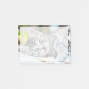 Post-it® Animaux de bébés cutest   Kitten aux yeux bleus