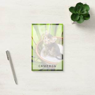 Post-it® Animaux de bébés cutest Kitten dans le panier
