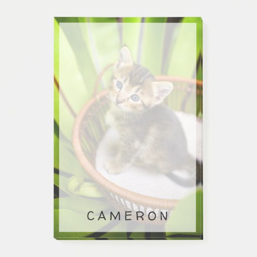 Post-it® Animaux de bébés cutest | Kitten dans le panier (Devant)
