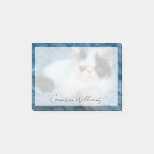 Post-it® Animaux de bébés cutest   Kitten noir et blanc