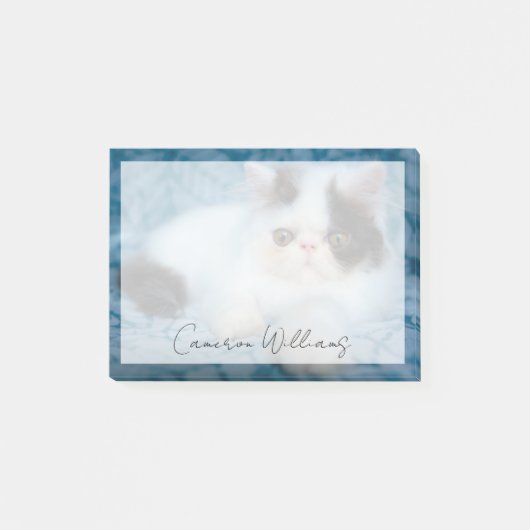 Post-it® Animaux de bébés cutest | Kitten noir et blanc (Devant)