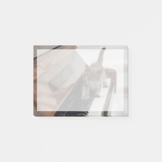 Post-it® Animaux de bébés cutest | Kitten sur piano (Devant)