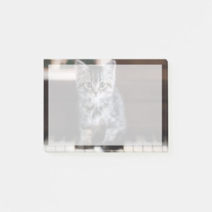 Post-it® Animaux de bébés cutest Kitten sur Touches de pi