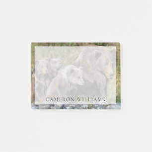 Post-it® Animaux de bébés cutest   Kodiak Mama Bear & Cubs