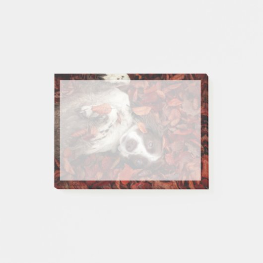 Post-it® Animaux de bébés cutest | L'espagnol dans les feui (Devant)