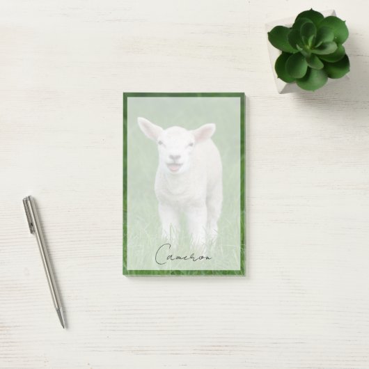 Post-it® Animaux de bébés cutest | Lil Lamb (Bureau)