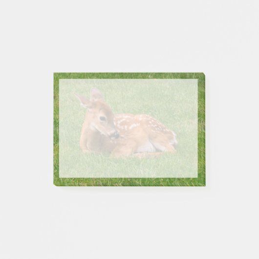 Post-it® Animaux de bébés cutest | Little Fawn (Devant)