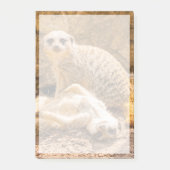 Post-it® Animaux de bébés cutest | Meerkats joueurs (Devant)